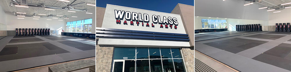 World Class Martial Arts Las Vegas